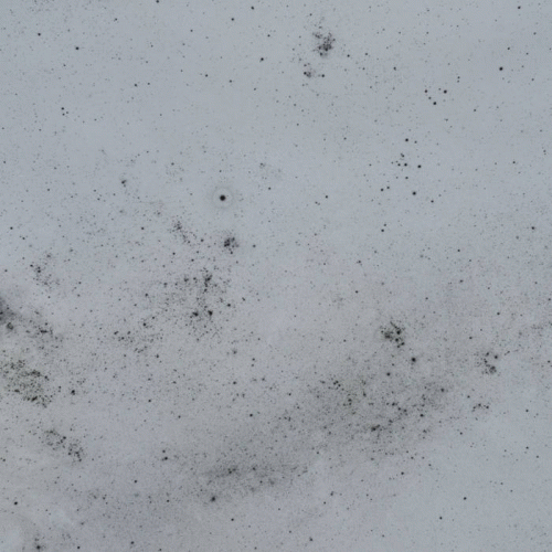 Ad Infinitum (USA-2) : Tristitiae